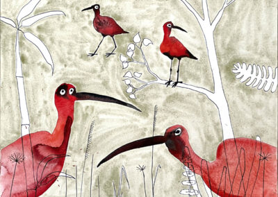 De rode ibis